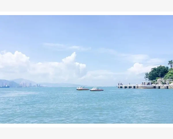 脾胃虚宝宝的营养粥推荐：温和滋补好选择