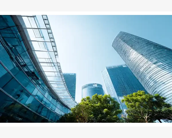 白萝卜的功效与化痰止咳方法探析